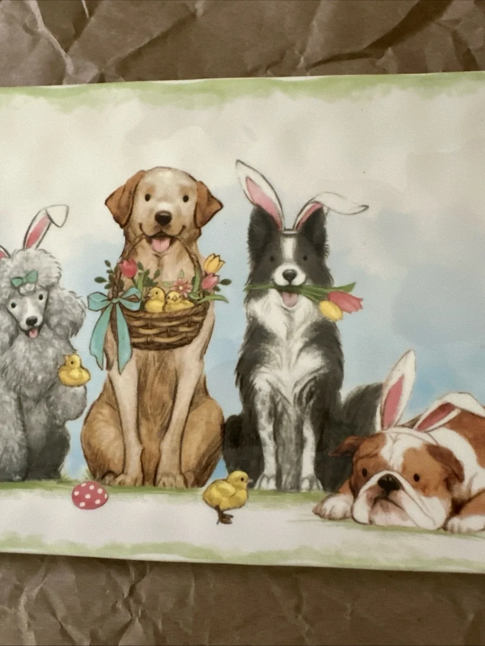 Pier 1 White Ceramic Pet Tray with Easter Puppy Illustration